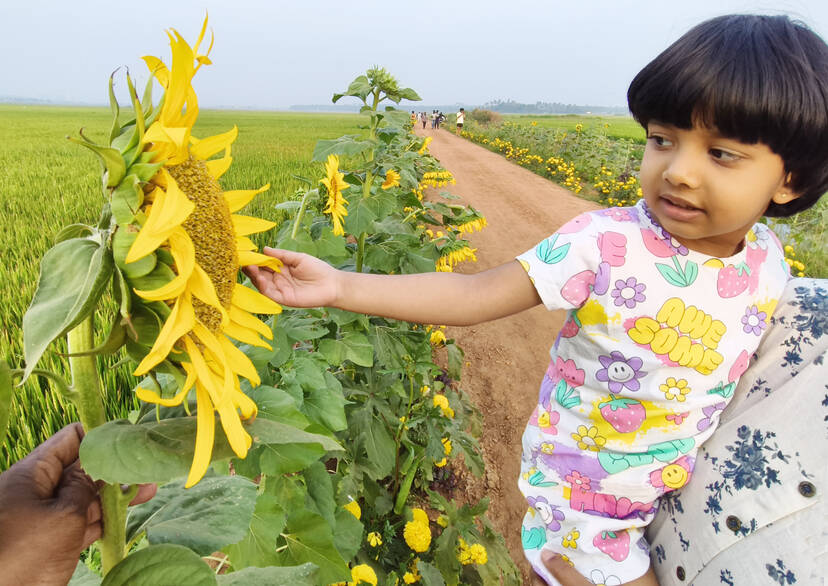 Kerala Kaumudi Photo Gallery
