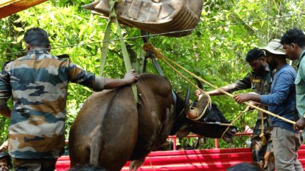 pothine-kondupomunnu