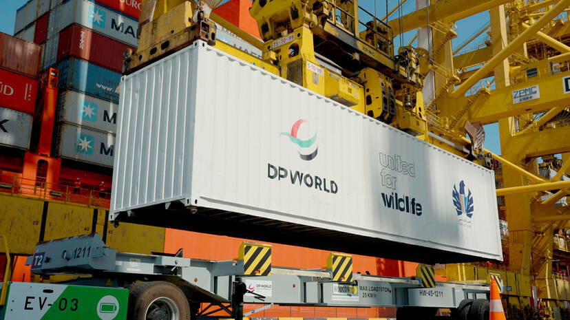 dpworld