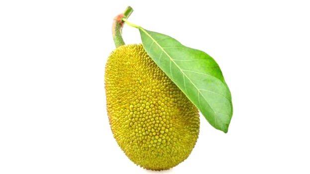 jackfruit