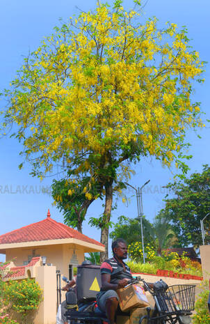 Kerala Kaumudi Photo Gallery