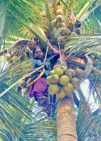 Kerala Kaumudi Photo Gallery