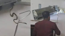 snakes-in-air-conditioner