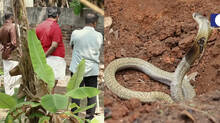 kaumudy-tv-snake-master-latest-episode