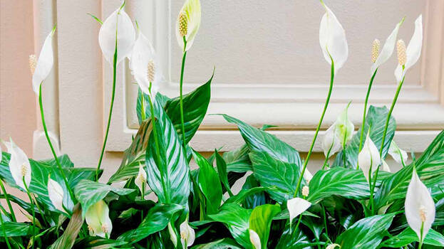 🆕 ഇന്നത്തെ അപ്ഡേറ്റ്സ് - ShareChat