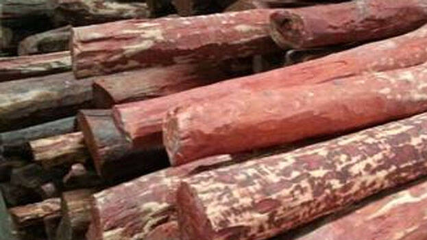 red-sandalwood
