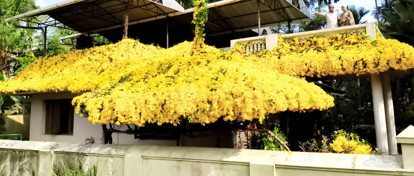 Kerala Kaumudi Photo Gallery