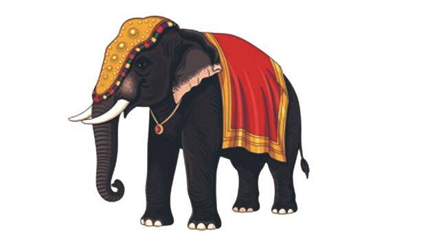 elephant