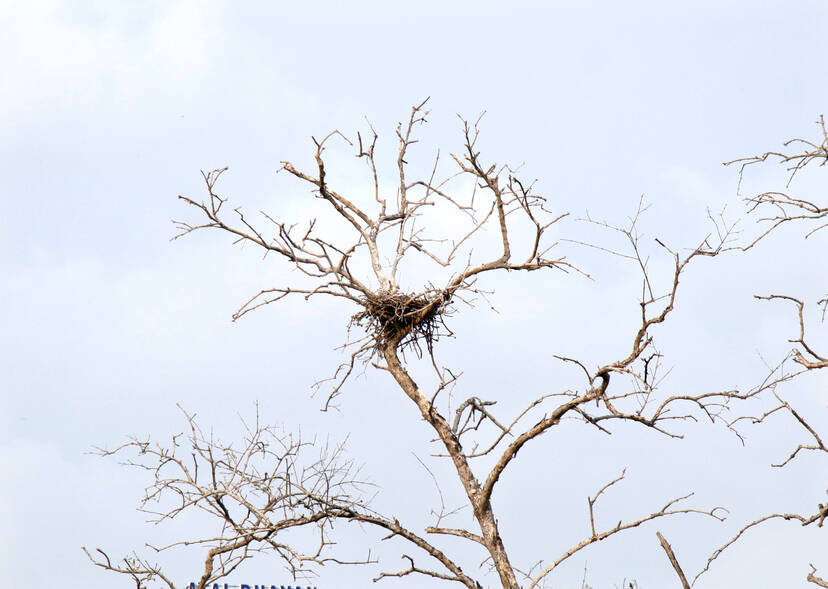 Kerala Kaumudi Photo Gallery