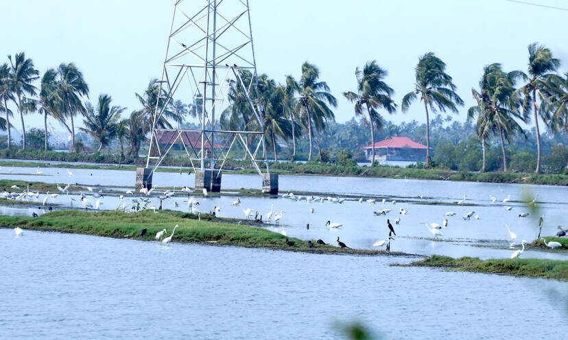Kerala Kaumudi Photo Gallery
