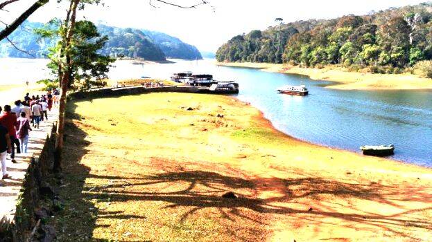thekkady