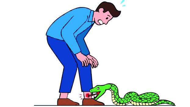 snake-bite-