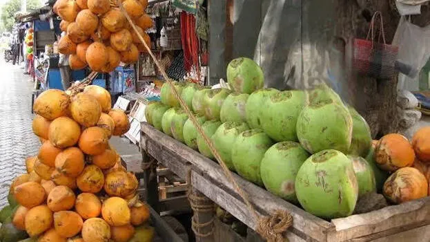 tender-coconut