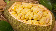 jackfruit