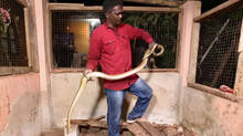 vava-suresh-caught-a-big-snake-from-a-house-at-kollam