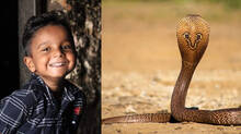 eight-year-old-dies-after-snake-bite-while-asleep-at-home