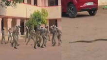 policemen-ran-away-after-seeing-snake