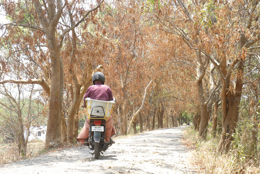 Kerala Kaumudi Photo Gallery