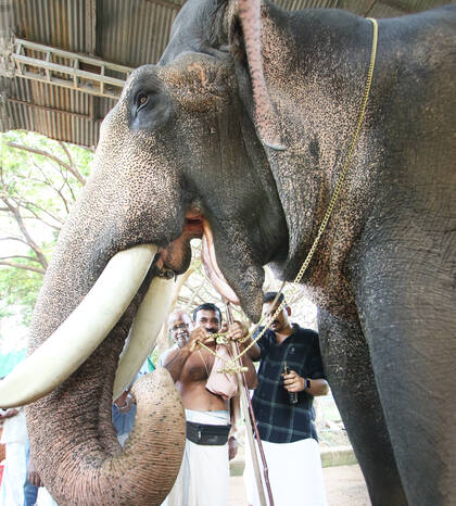 Kerala Kaumudi Photo Gallery