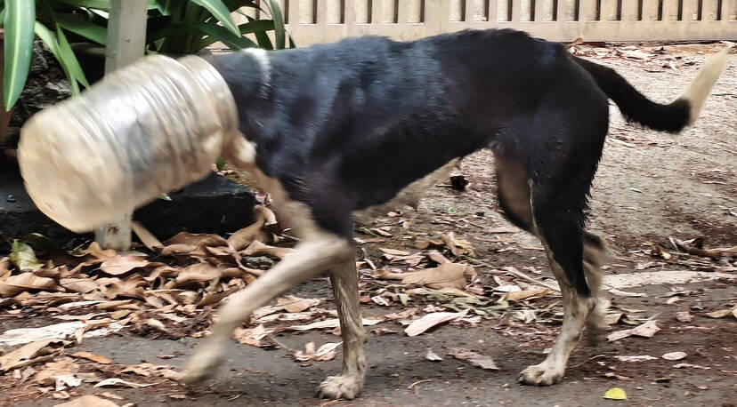 Kerala Kaumudi Photo Gallery