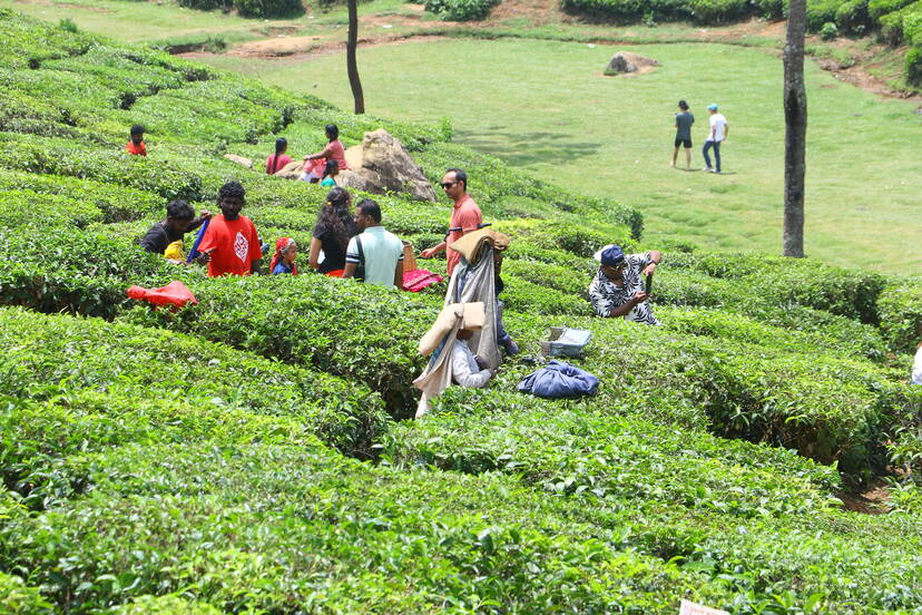 Kerala Kaumudi Photo Gallery