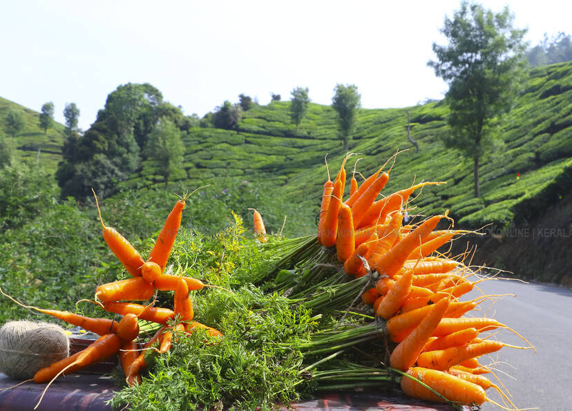 Kerala Kaumudi Photo Gallery