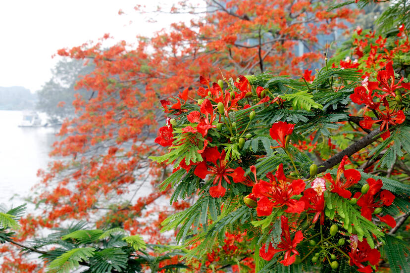 Kerala Kaumudi Photo Gallery