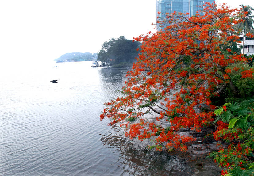 Kerala Kaumudi Photo Gallery