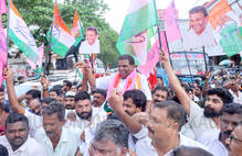 mla-