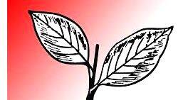 kerala-con