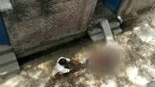 boy-shot-dead-by-relative-for-refusing-to-bring-water-for-liquor-in-uttar-pradesh