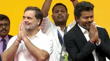 17-years-of-vijay-rahul-gandhi-friendship-behind-tvk-congress-alliance