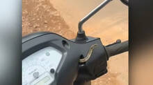 snake-inside-a-moving-scooter-young-man-barely-escaped