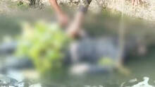 unknown-body-found-in-champakkara-canal-man-not-identified
