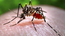 smart-mosquito-density-system