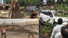 111-killed-many-injured-as-heavy-rain-and-storm-in-uttar-pradesh