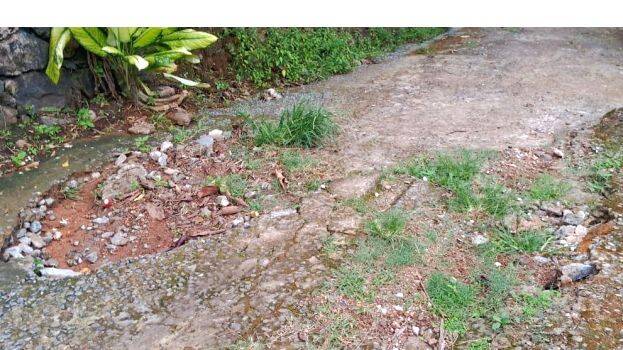 കൂടൽ-നെല്ലിമുരുപ്പ്-മങ്കുഴി റോഡ് തകർന്നു; ദുരിതത്തിലായി നാട്ടുകാർ