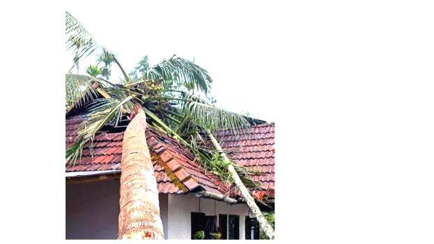veedu