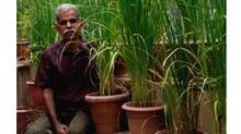 basumathi
