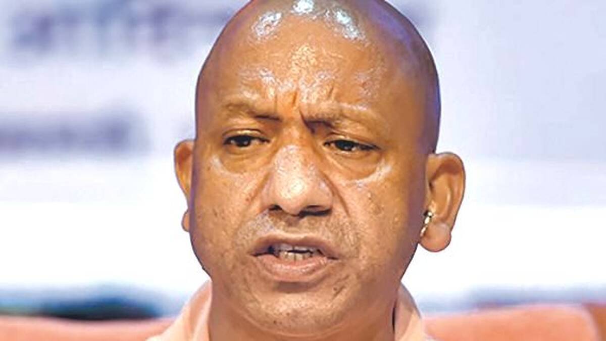 yogi