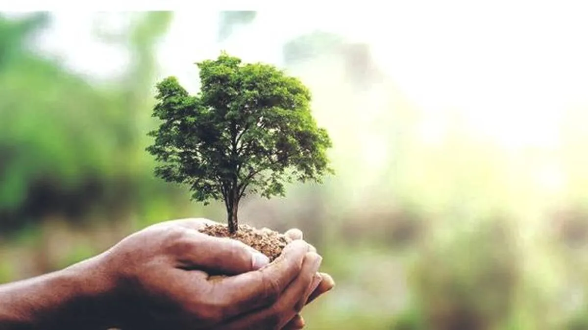tree tree