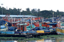 boats