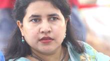 veena