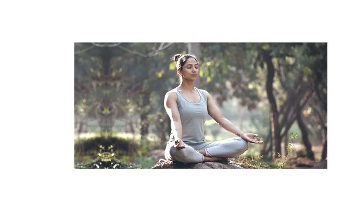 yoga yoga