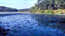 rivers