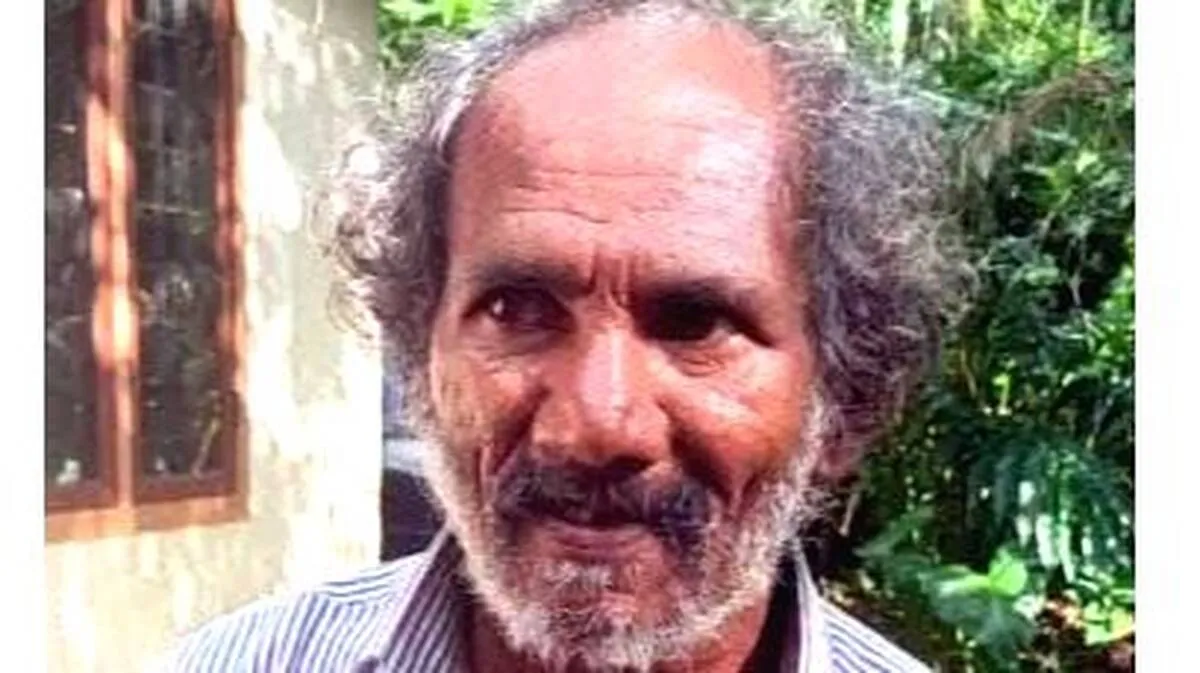 sasi sasi