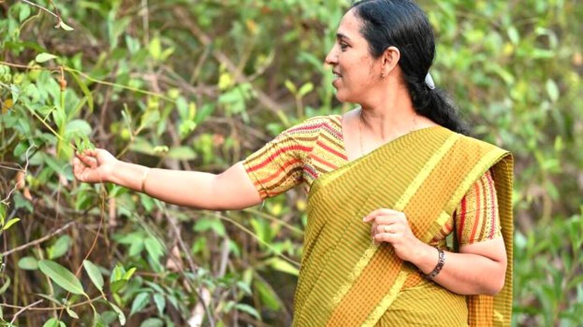 p-shreeja-