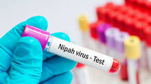 nipha