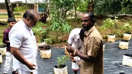 pachakkari.1780913925