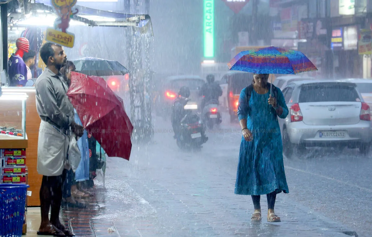 rain
